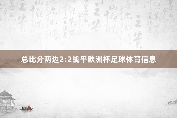 总比分两边2:2战平欧洲杯足球体育信息