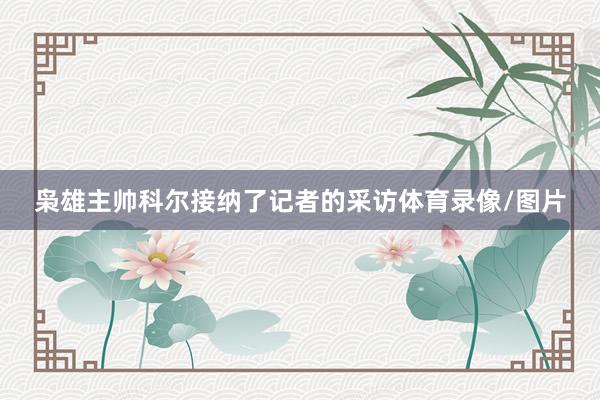 枭雄主帅科尔接纳了记者的采访体育录像/图片