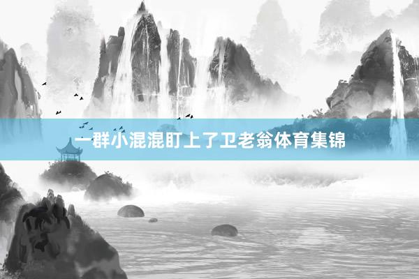 一群小混混盯上了卫老翁体育集锦