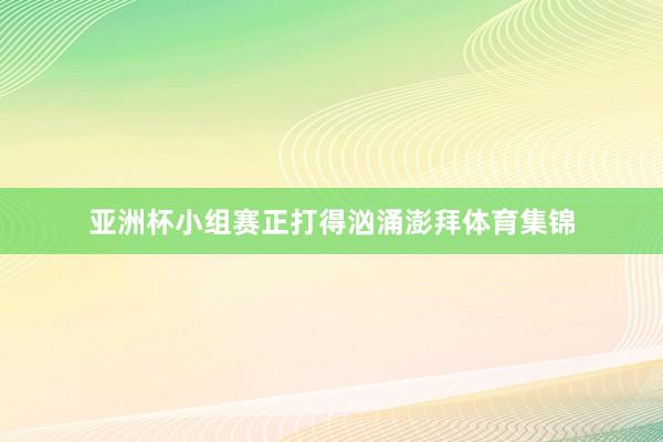 亚洲杯小组赛正打得汹涌澎拜体育集锦