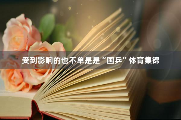 受到影响的也不单是是“国乒”体育集锦