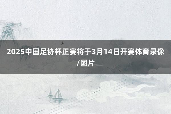 2025中国足协杯正赛将于3月14日开赛体育录像/图片
