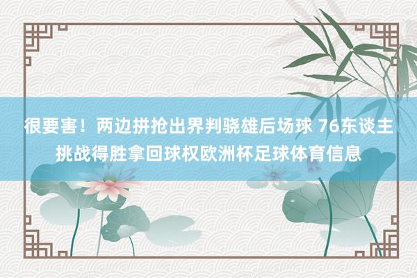 很要害！两边拼抢出界判骁雄后场球 76东谈主挑战得胜拿回球权欧洲杯足球体育信息