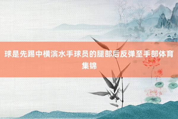 球是先踢中横滨水手球员的腿部后反弹至手部体育集锦